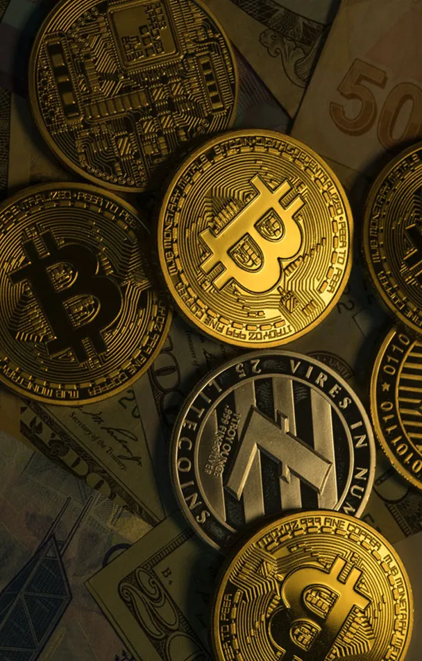 Immediate Noxel 5C - In what ways can Immediate Noxel 5C elevate your trading journey?